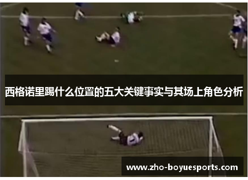 西格诺里踢什么位置的五大关键事实与其场上角色分析