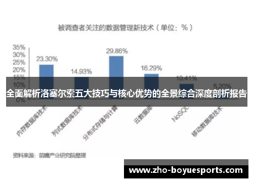 全面解析洛塞尔索五大技巧与核心优势的全景综合深度剖析报告