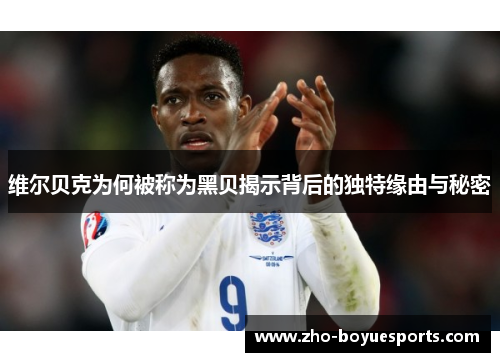 维尔贝克为何被称为黑贝揭示背后的独特缘由与秘密