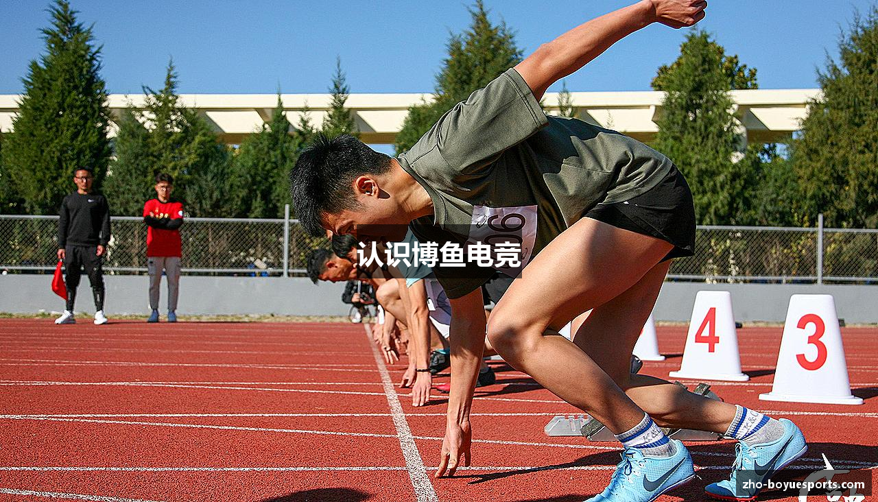 认识博鱼电竞
